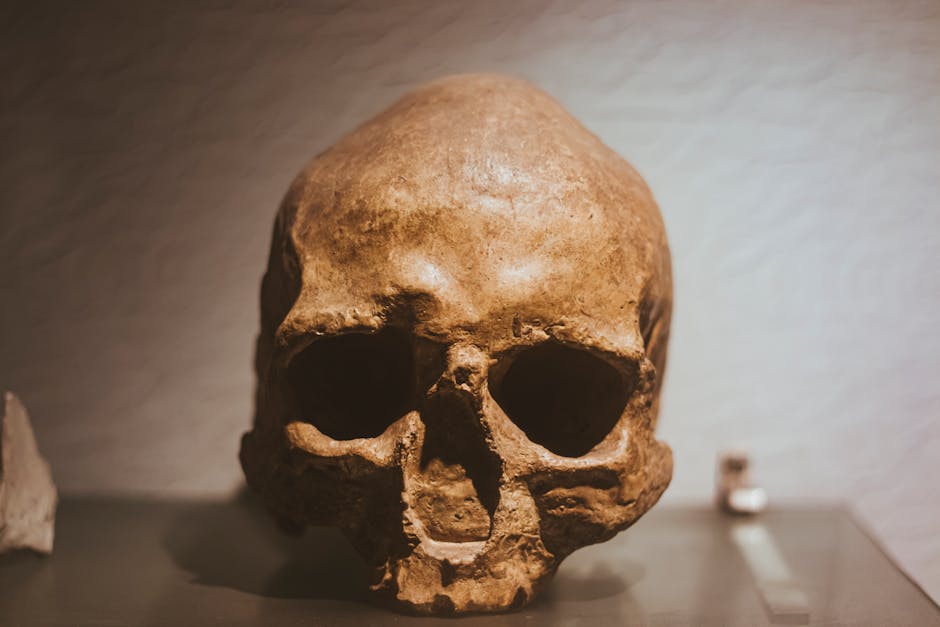 What DNA Reveals About Human History