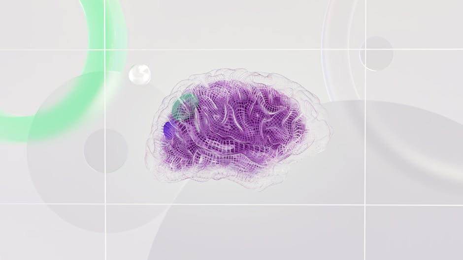 What Neuroscience Reveals About Learning