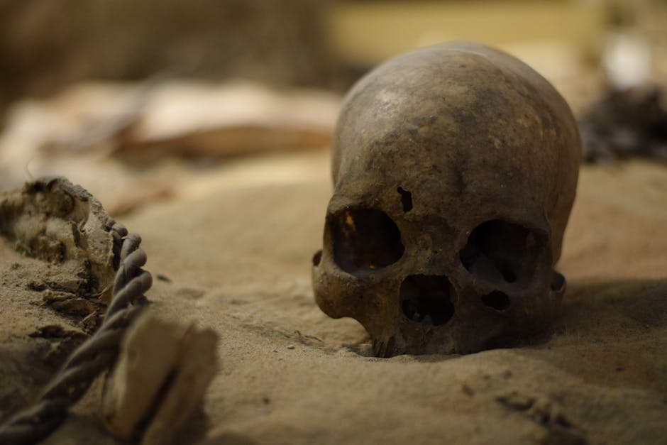 The Most Bizarre Events Ever Recorded