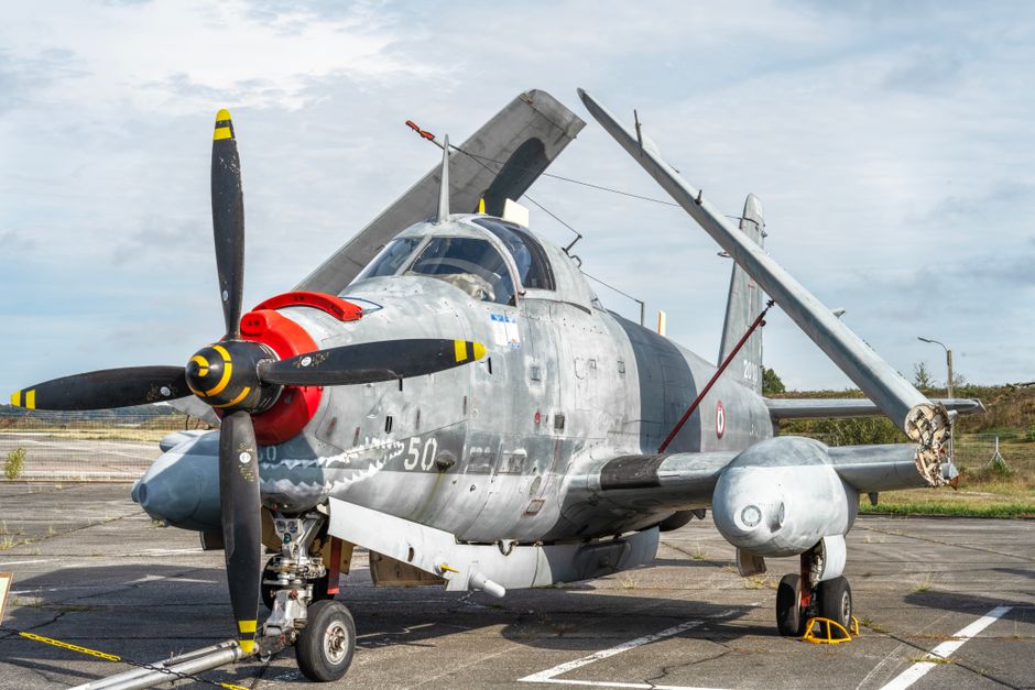 Did You Know? 8 Facts About U.S. Military Bases Abroad